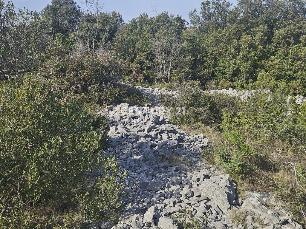 Image 6327176 - 9