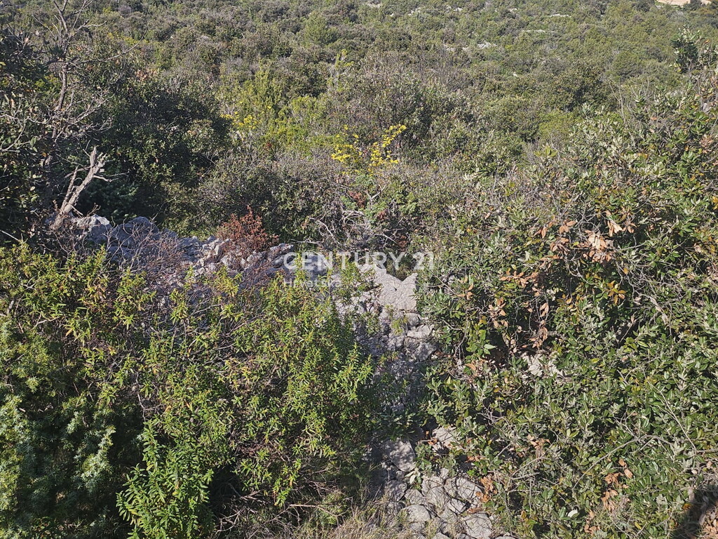 Image 6327176 - 15