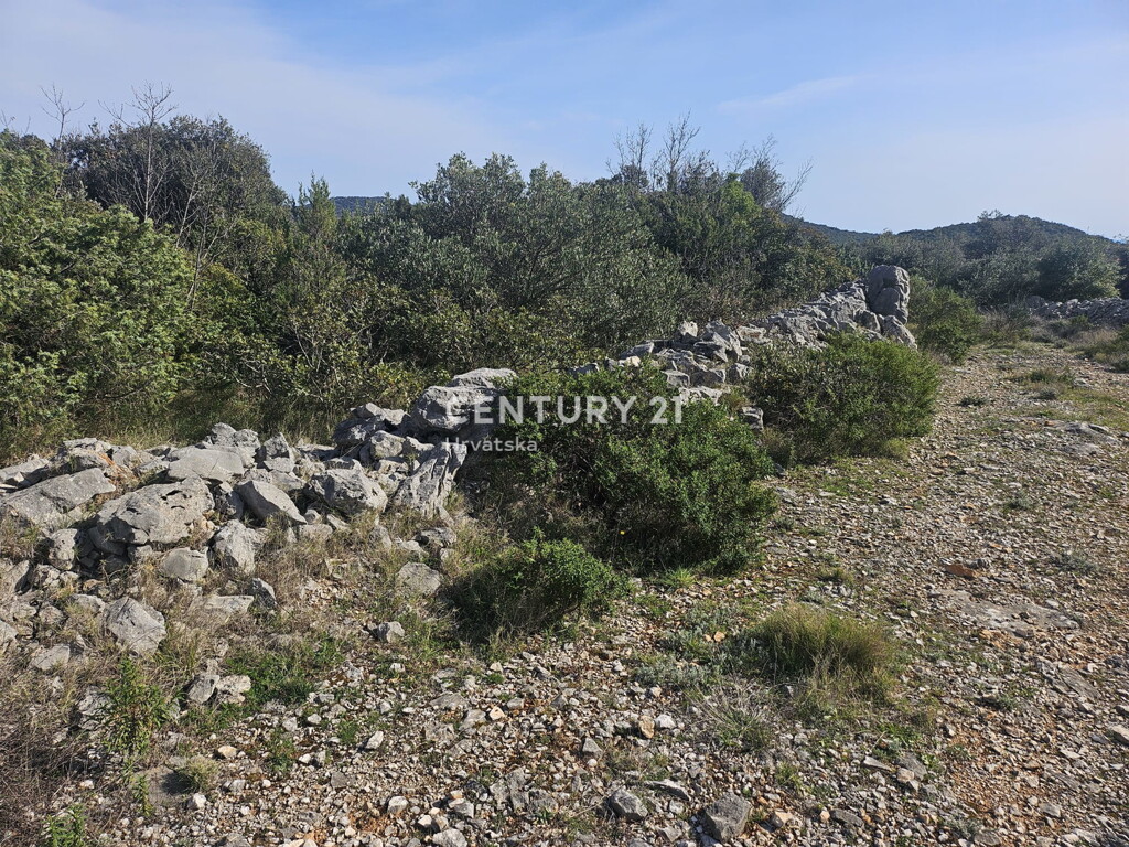 Image 6327176 - 2