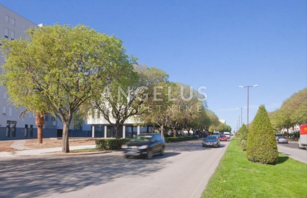 Image 6327182 - 9