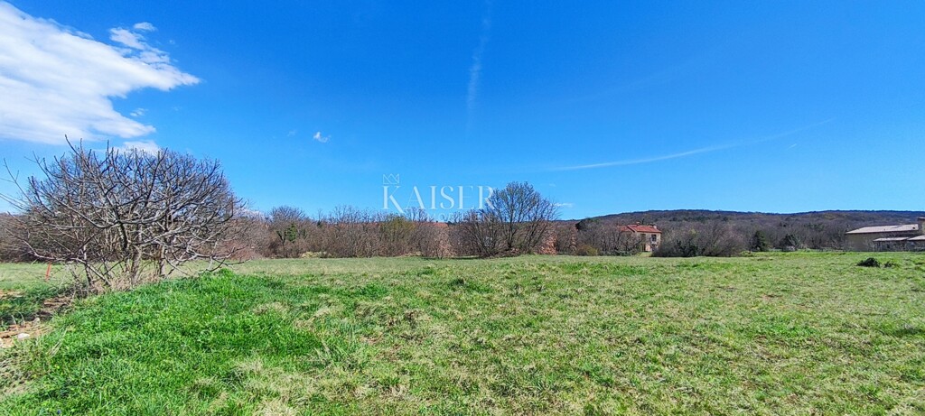 Image 6327192 - 4