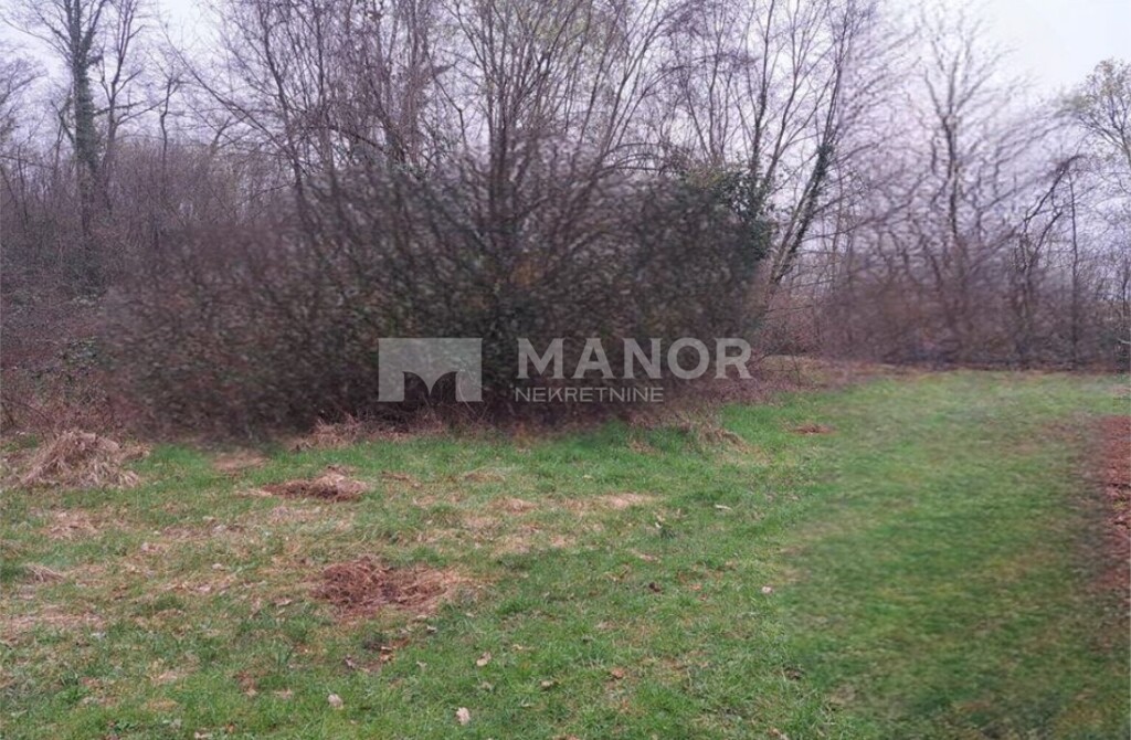Image 6327200 - 1