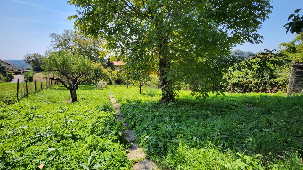 Image 6327262 - 13