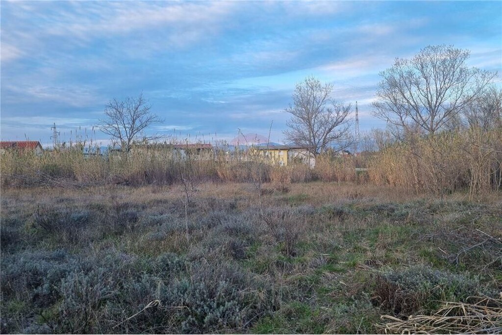Image 6327274 - 2