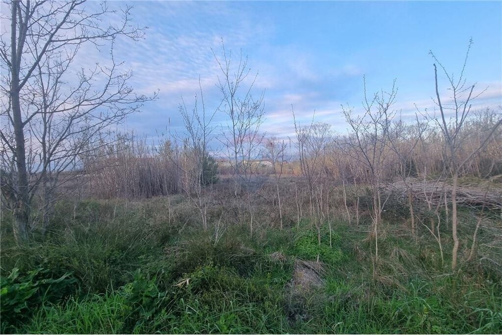 Image 6327274 - 5