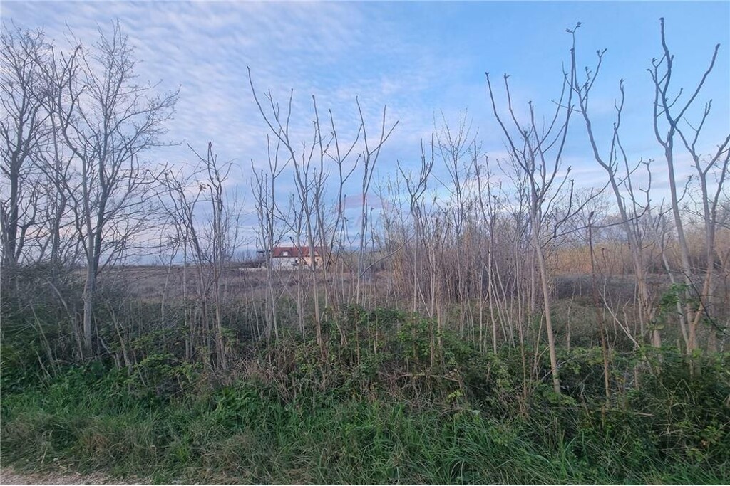 Image 6327274 - 7