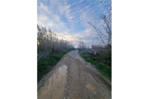 Thumbnail 6327276 - 6