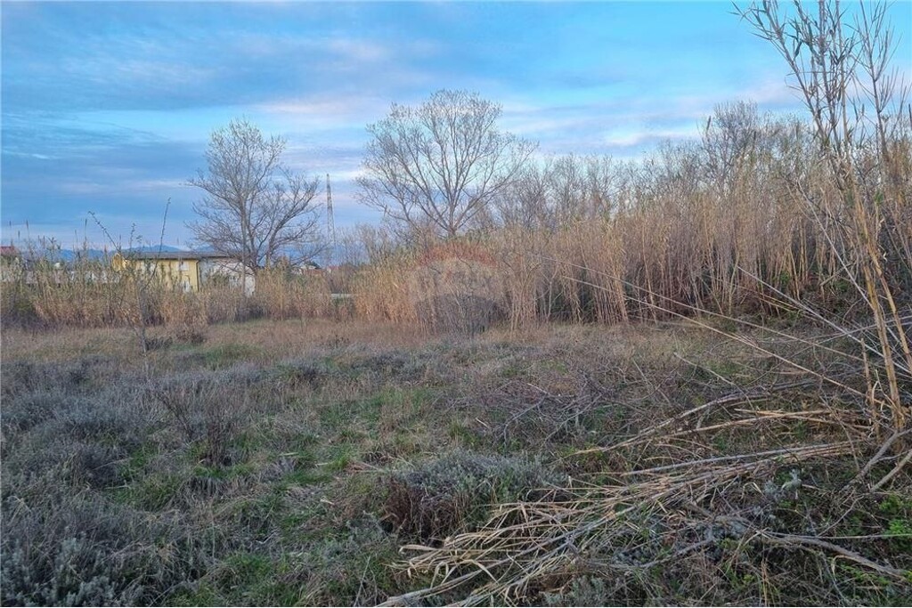 Image 6327276 - 3