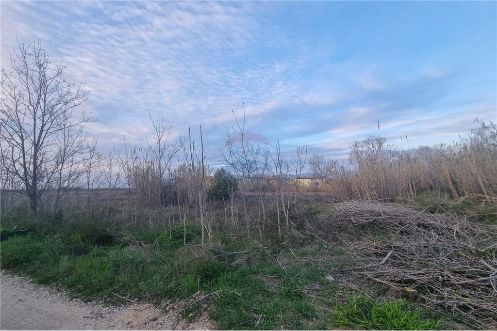 Image 6327277 - 5