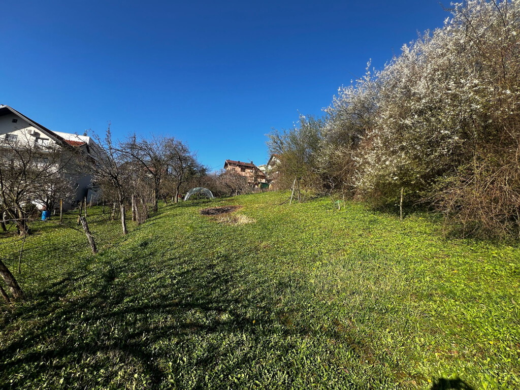 Image 6327286 - 2