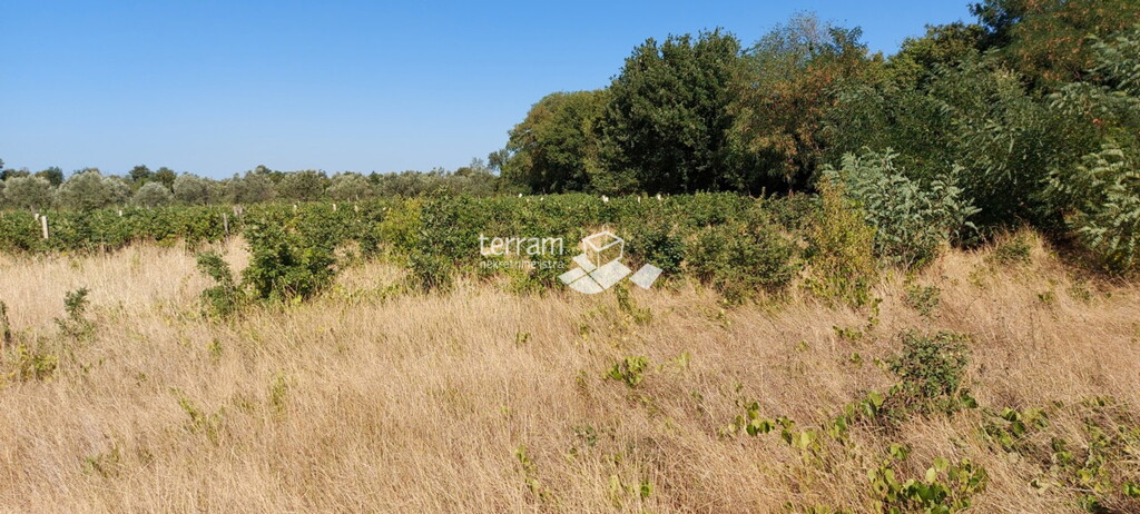 Image 6327292 - 1