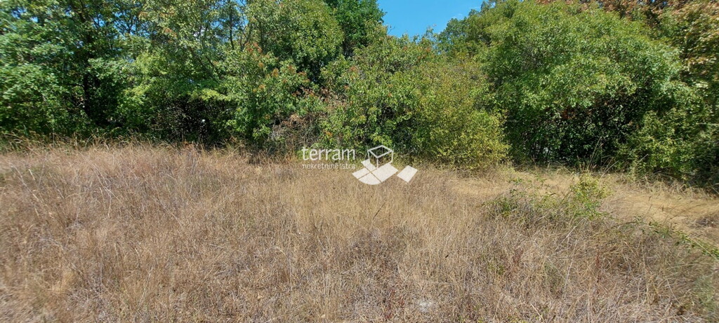 Image 6327293 - 2