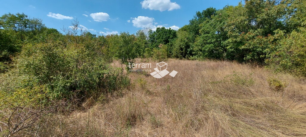 Image 6327293 - 1