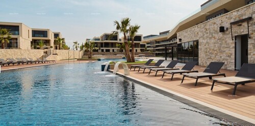 Thumbnail 6327636 - 3