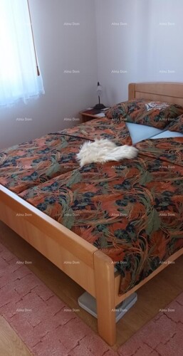 Thumbnail 6327645 - 5