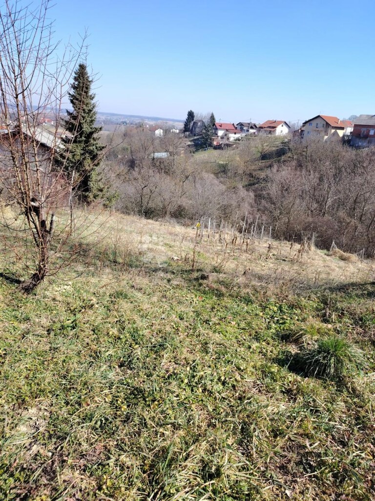 Image 6327742 - 9