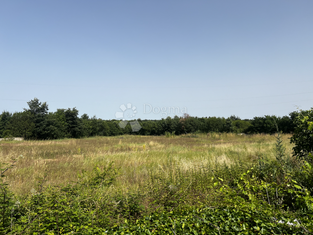 Image 6327743 - 4