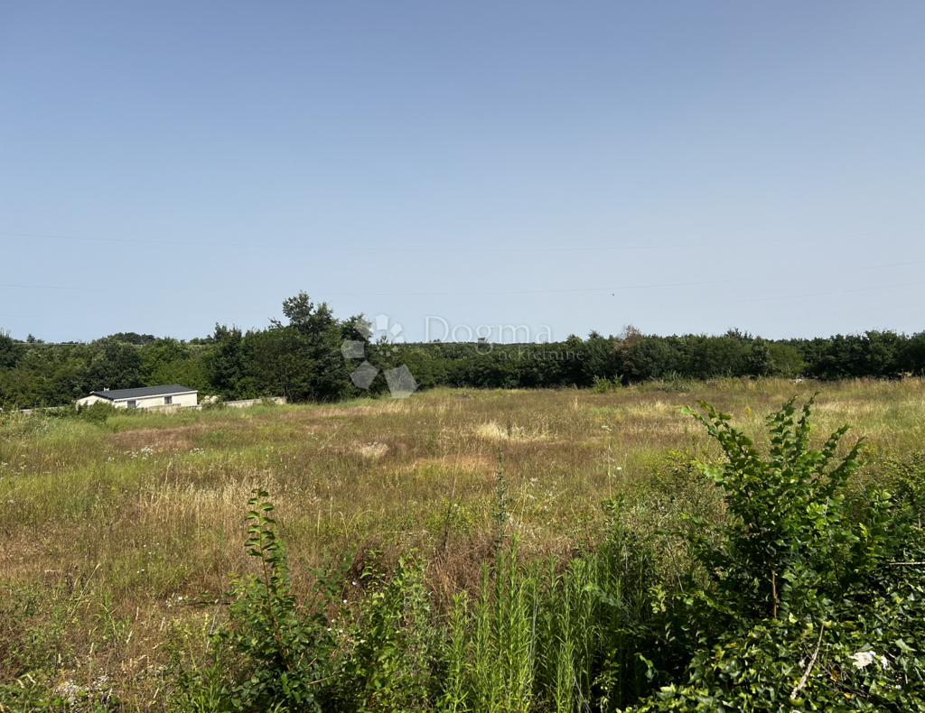 Image 6327754 - 12