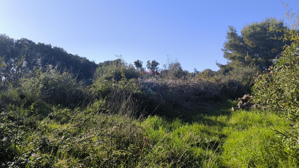 Image 6327851 - 4