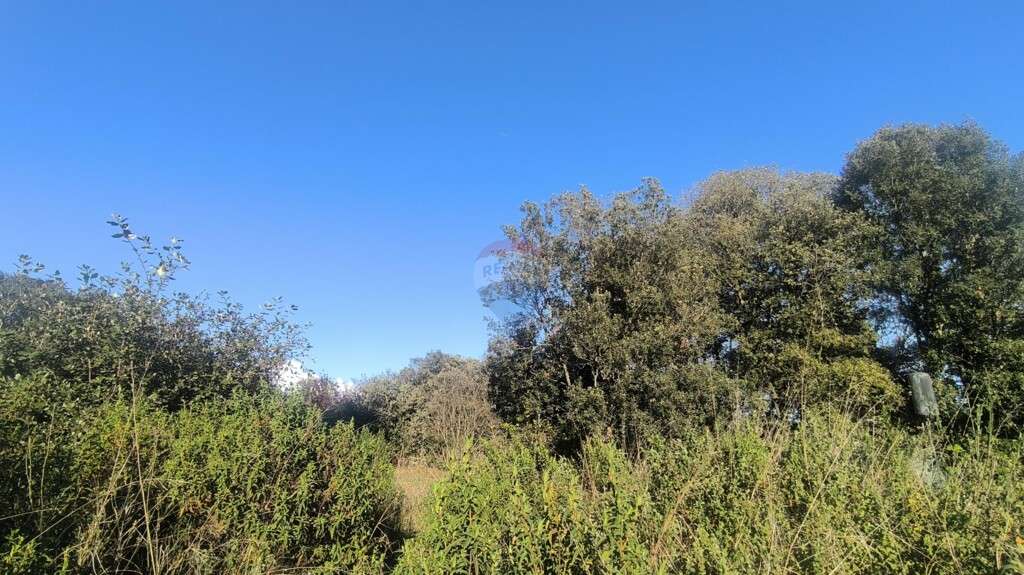 Image 6327851 - 2