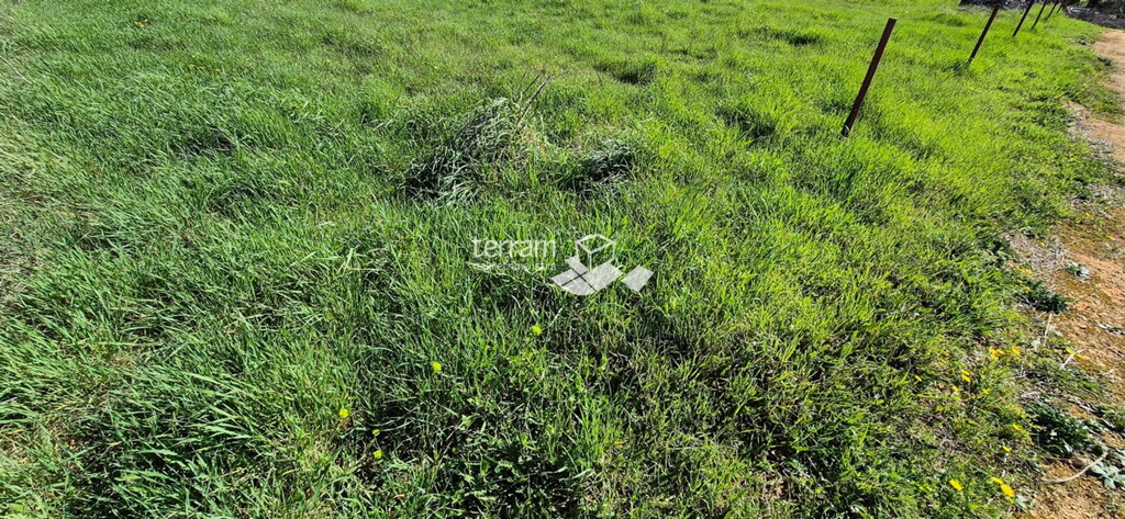 Image 6327855 - 3