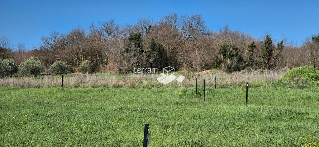 Image 6327855 - 1