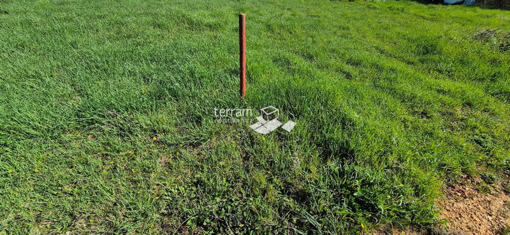 Image 6327855 - 2