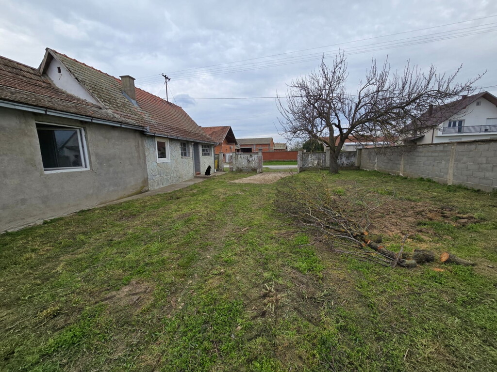 Image 6327856 - 11