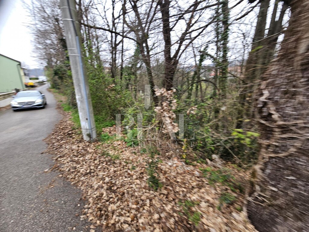 Image 6328201 - 8