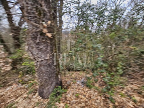 Thumbnail 6328201 - 6