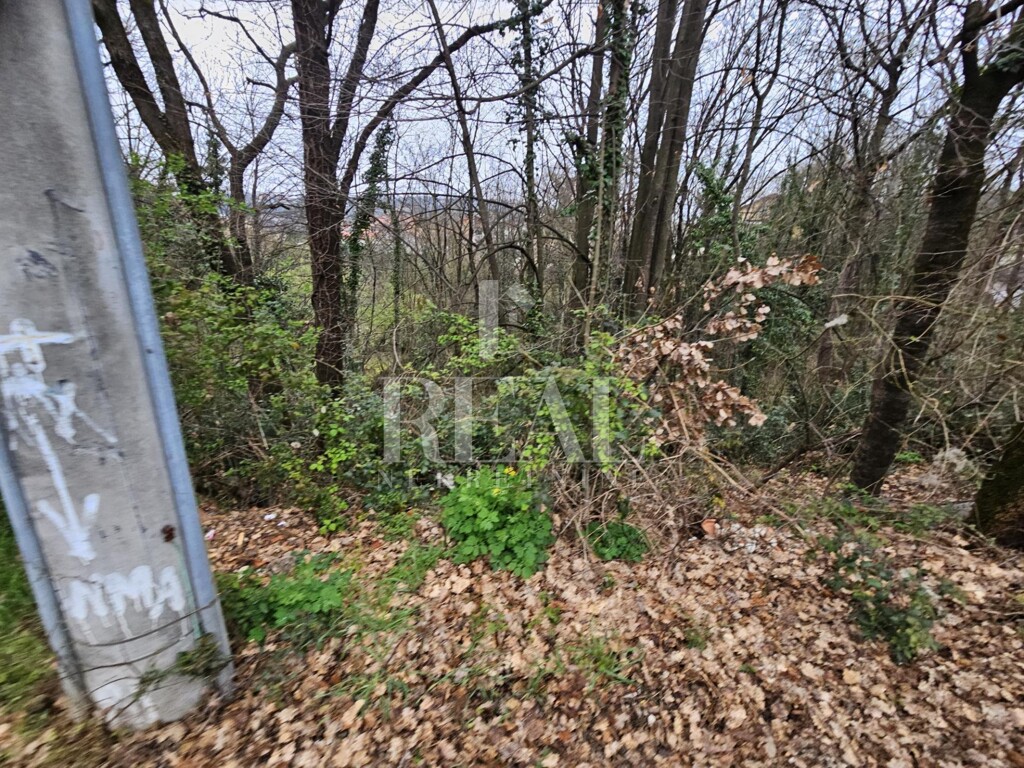 Image 6328201 - 5