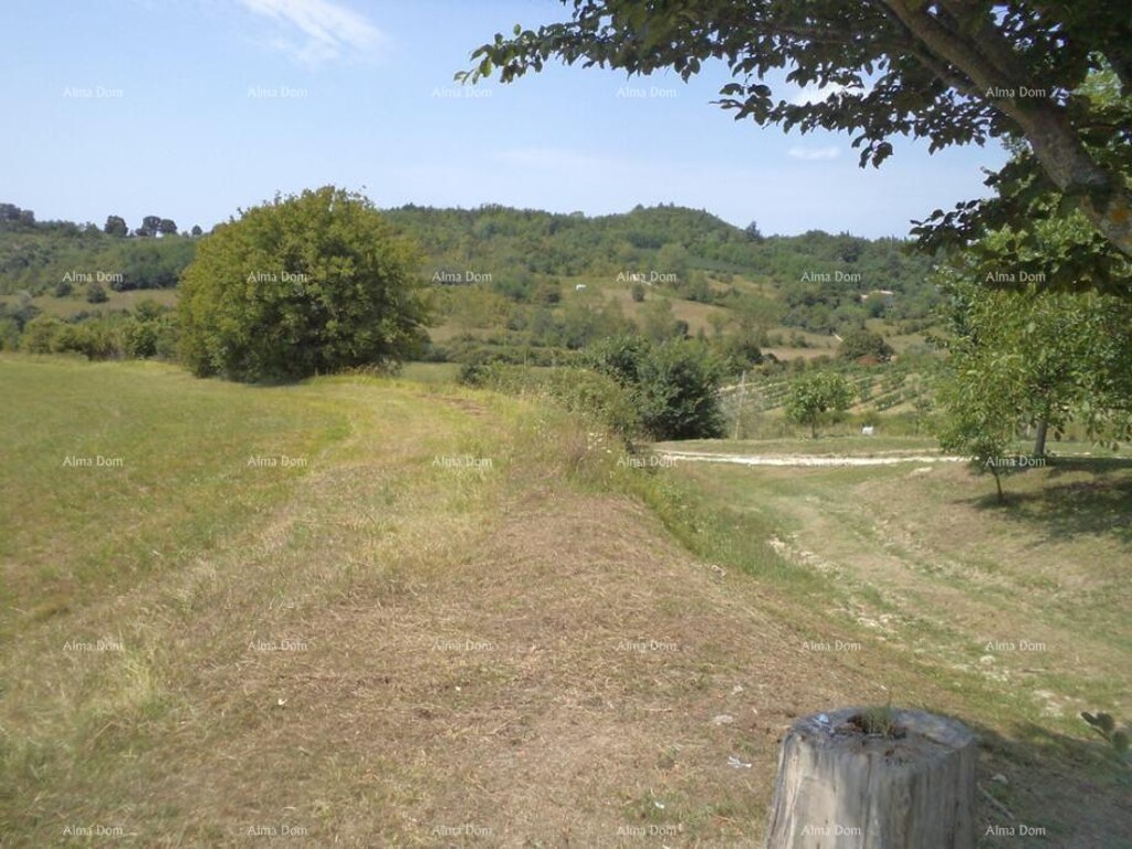 Image 6328213 - 4