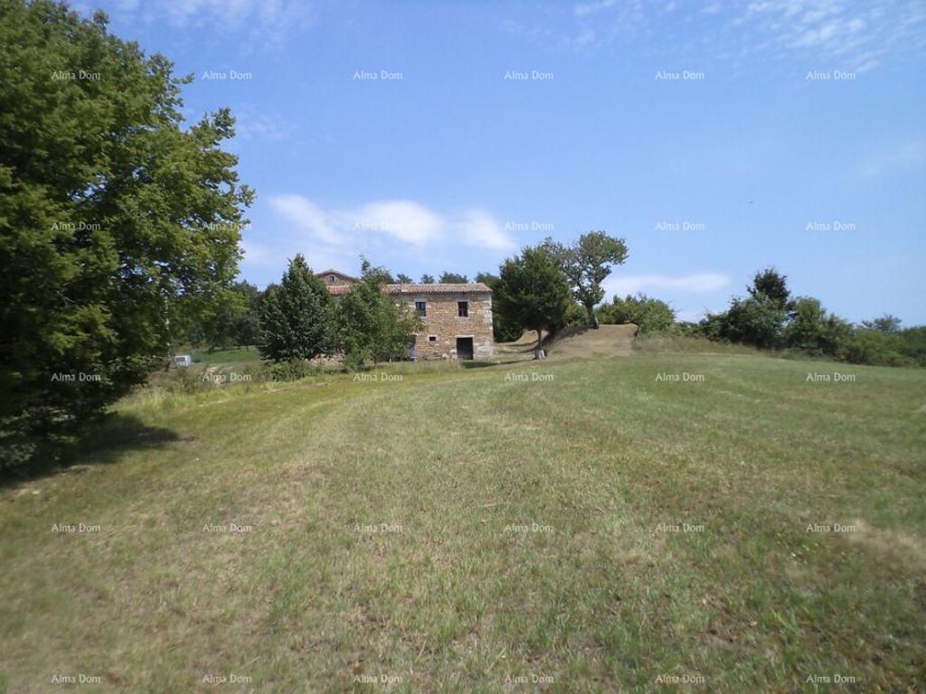 Image 6328213 - 3