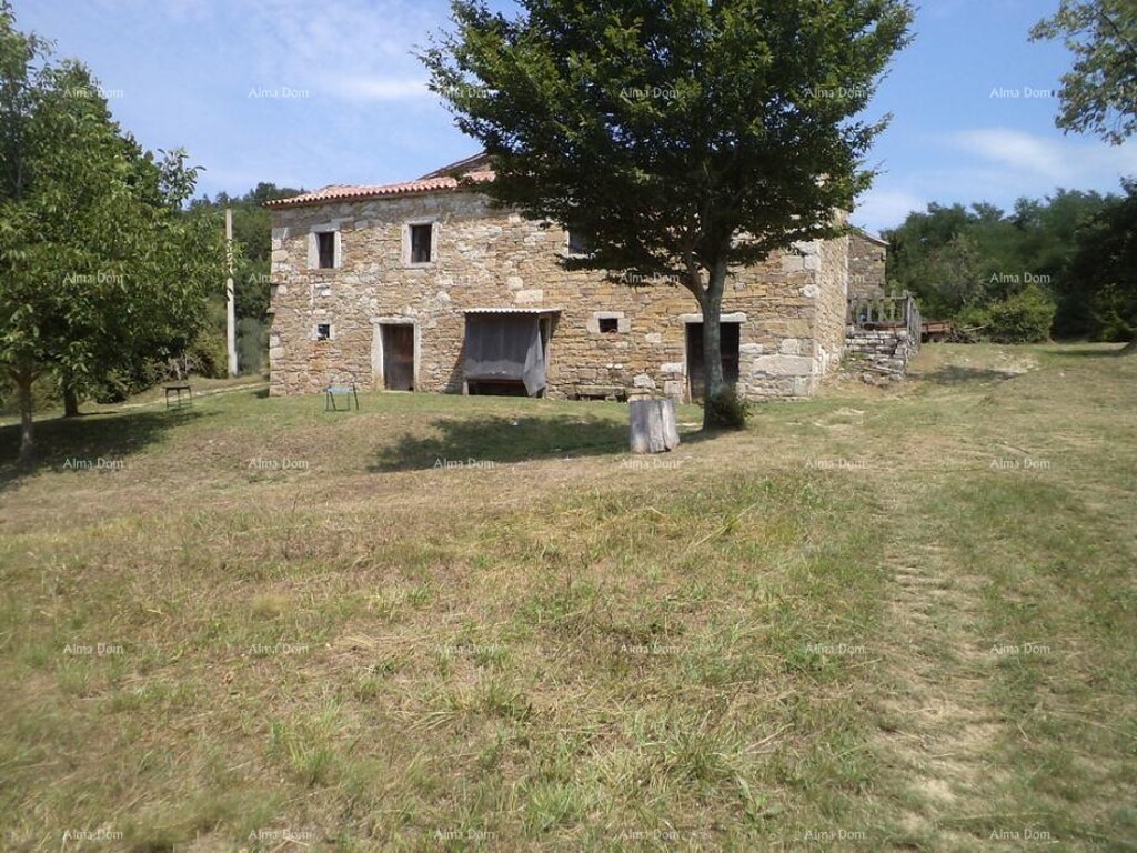 Image 6328213 - 5