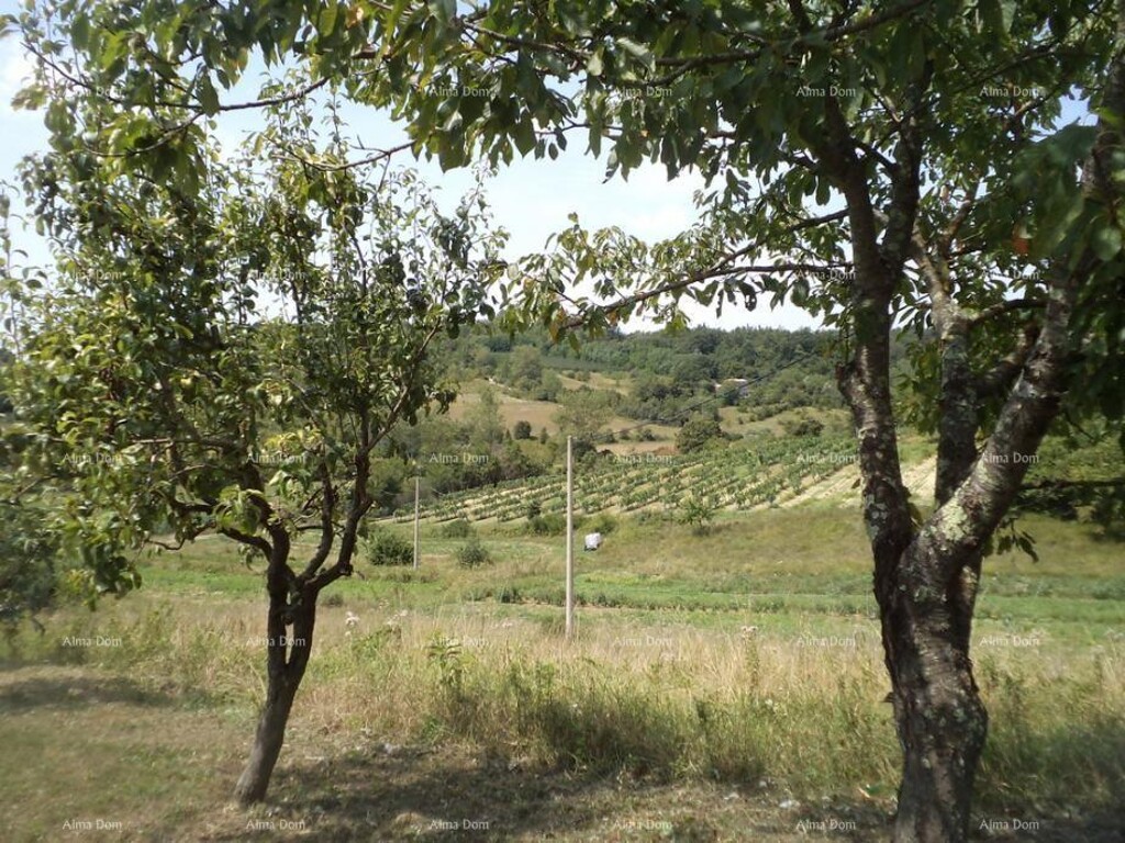 Image 6328213 - 2
