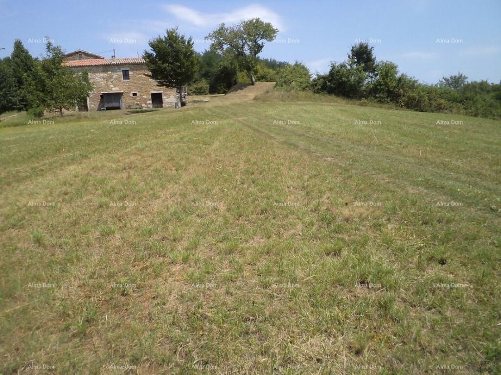 Image 6328213 - 6