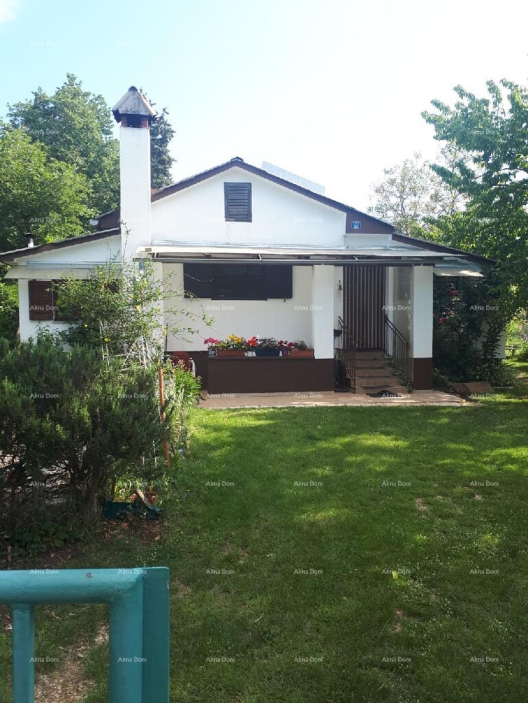 Image 6328218 - 8