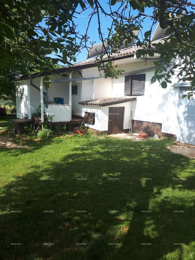 Image 6328218 - 1