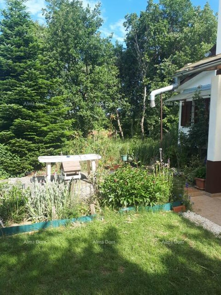 Image 6328218 - 3