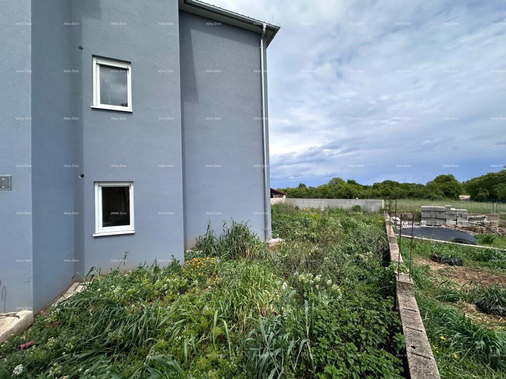 Image 6328227 - 31