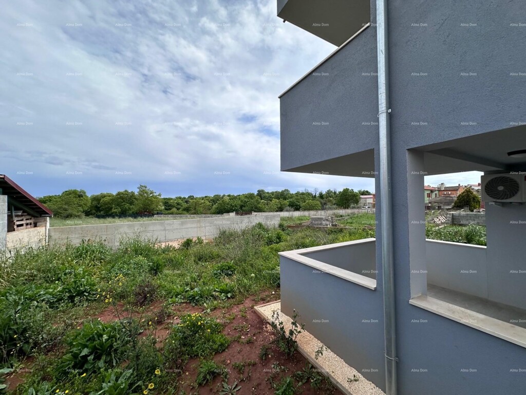 Image 6328227 - 27