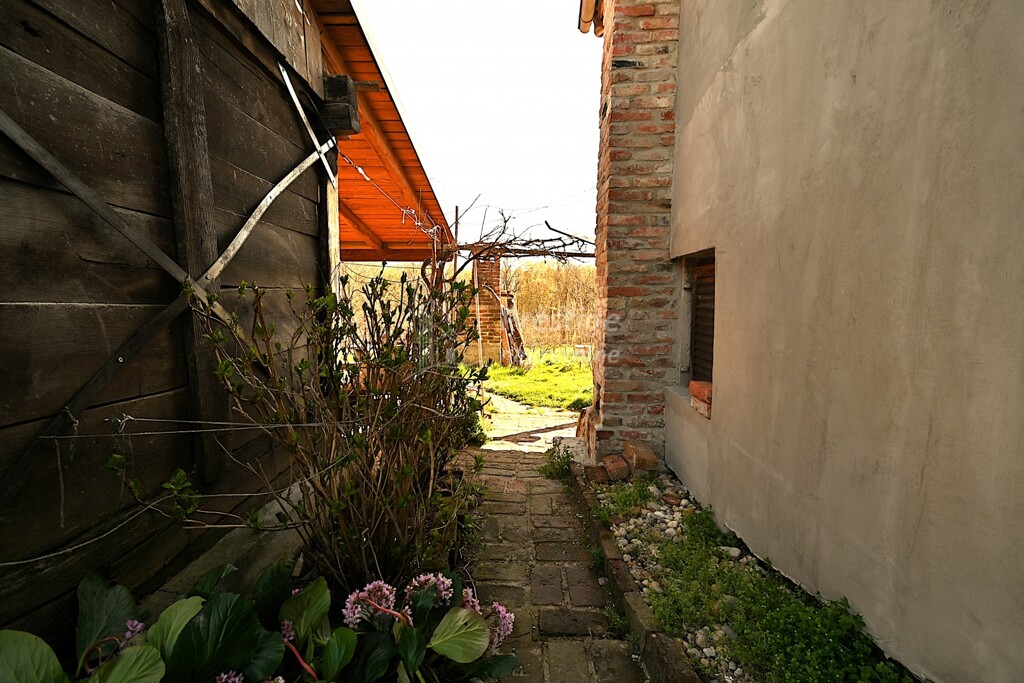 Image 6328328 - 17