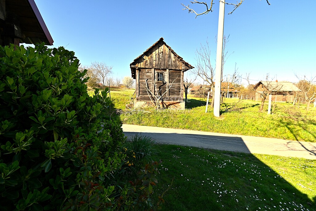 Image 6328328 - 23