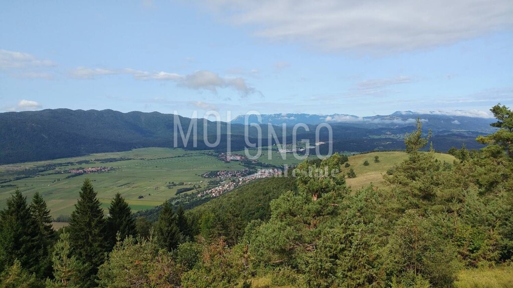 Image 6328411 - 5