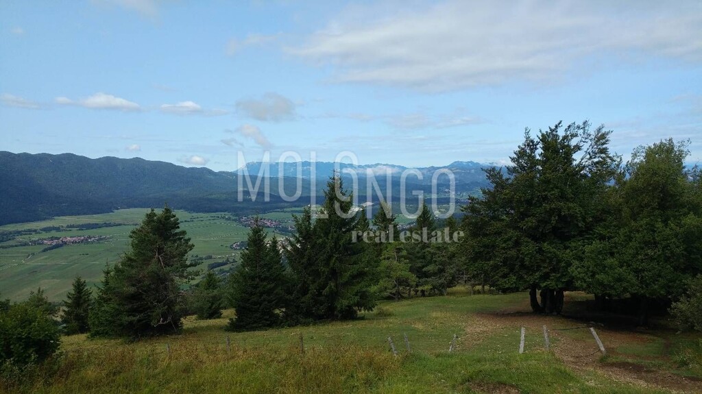 Image 6328411 - 4