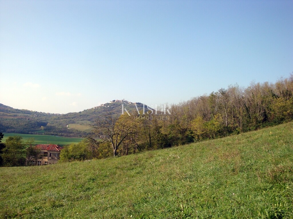 Image 6328414 - 1