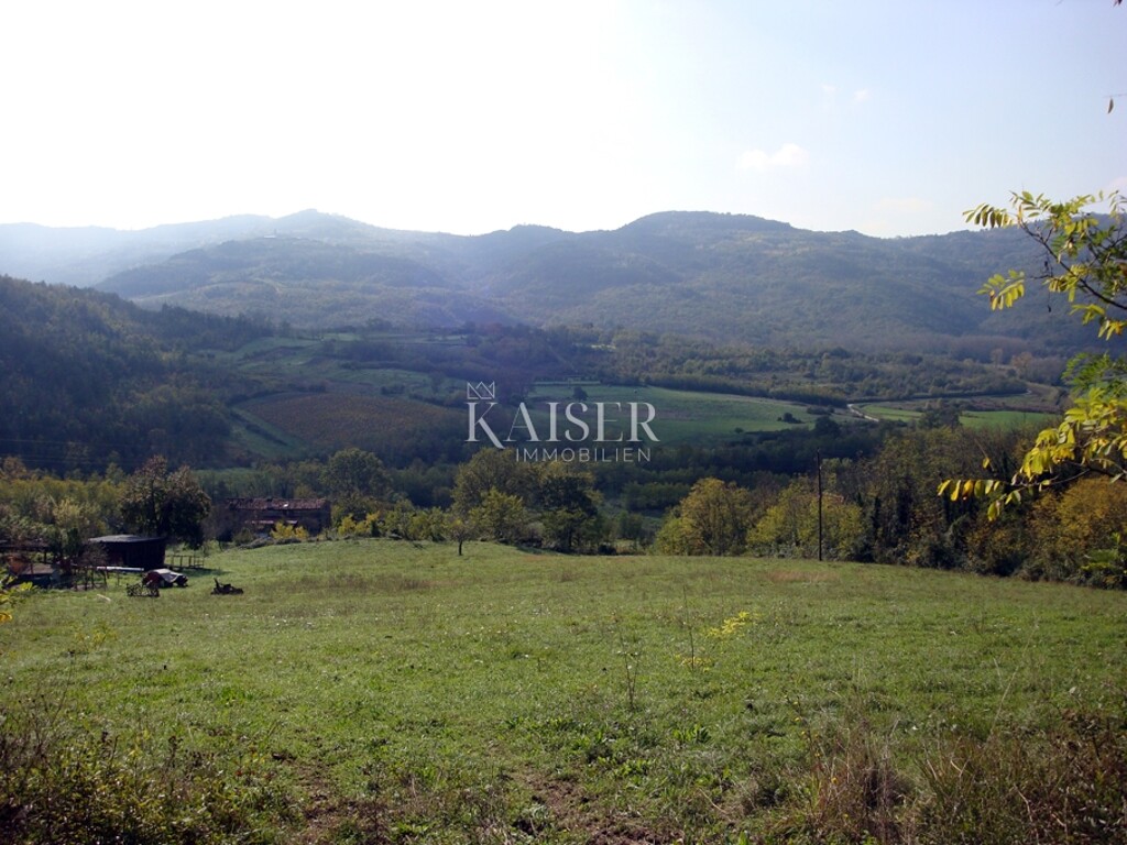 Image 6328414 - 3