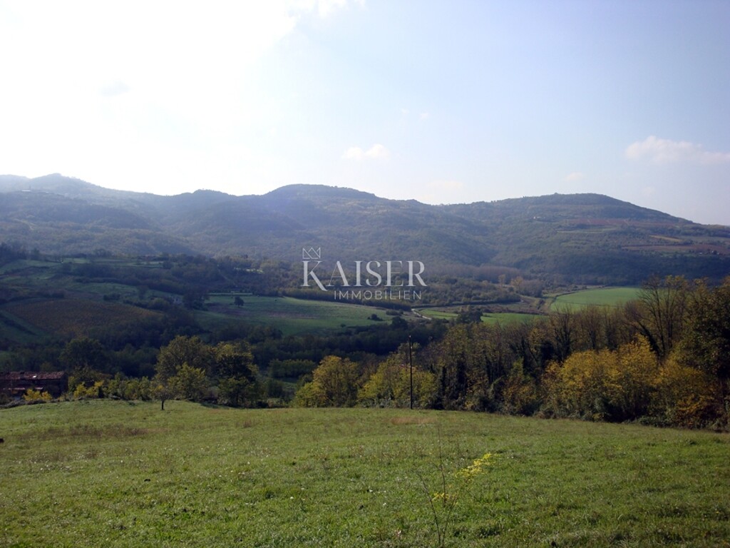 Image 6328414 - 2