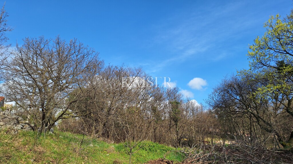 Image 6328418 - 6