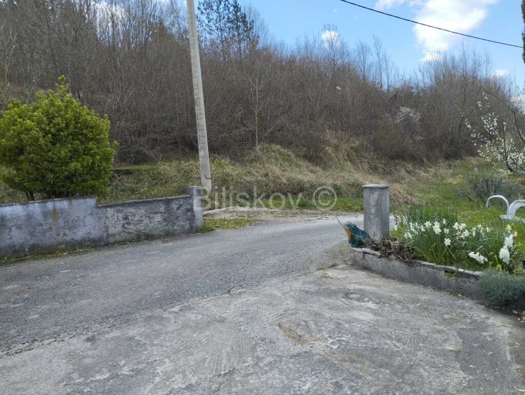 Image 6328450 - 17